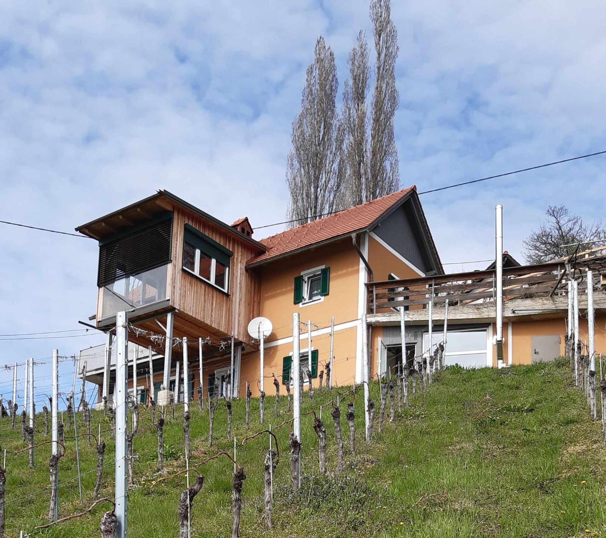 Ferienhaus Urschitz Eichberg Exterior foto